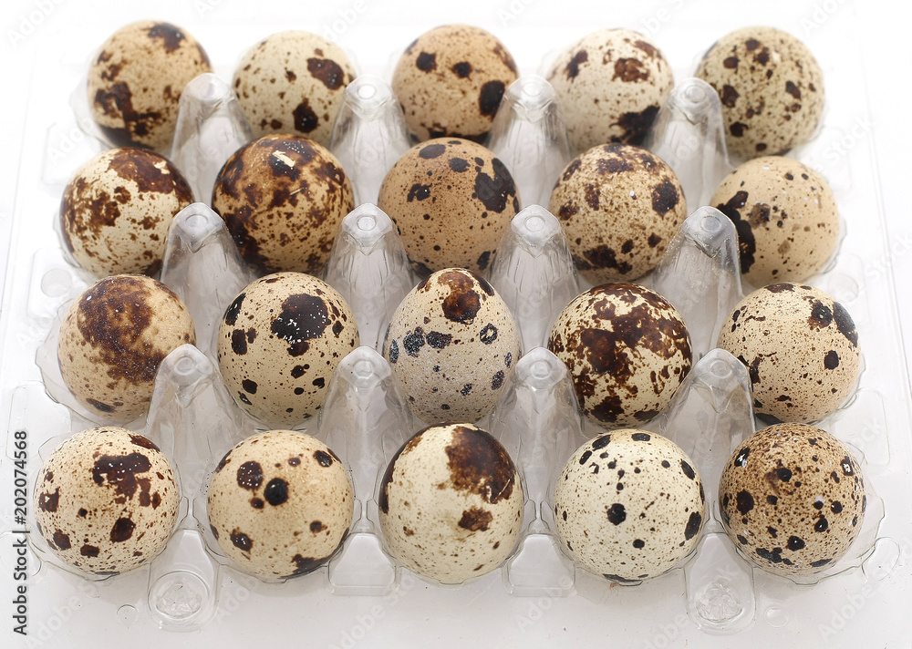 quail eggs in a plastic tray on a white background