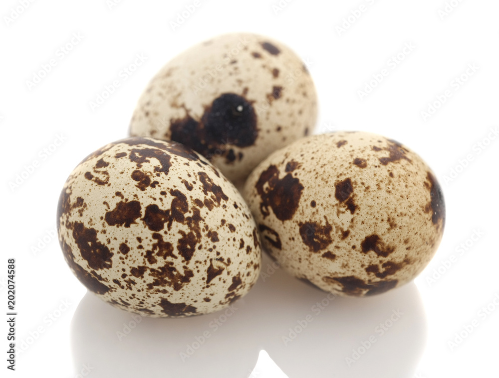 quail eggs on white background isolates