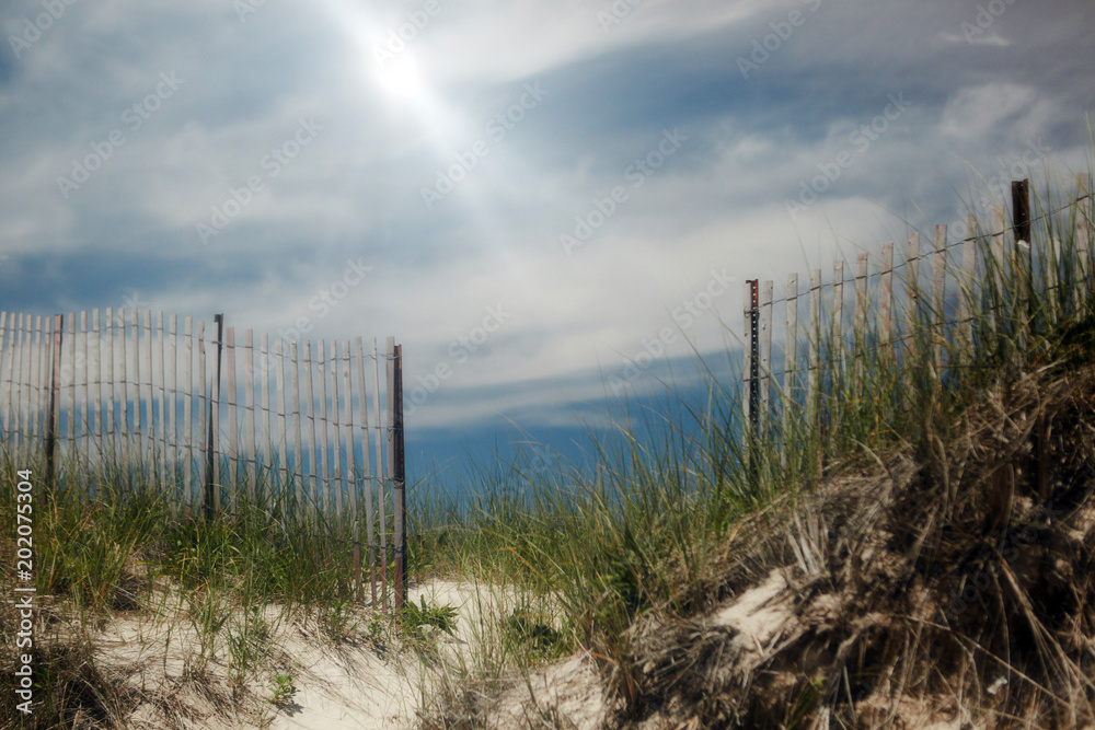 Fence on beach