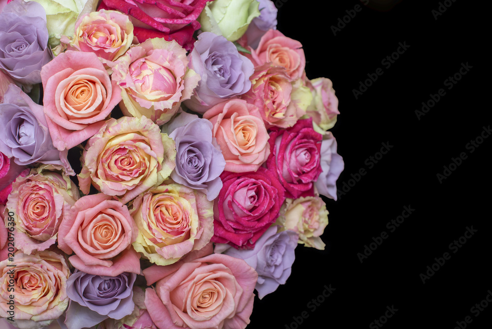 Bunch of multi-colored roses over black. Selective focus with sample text