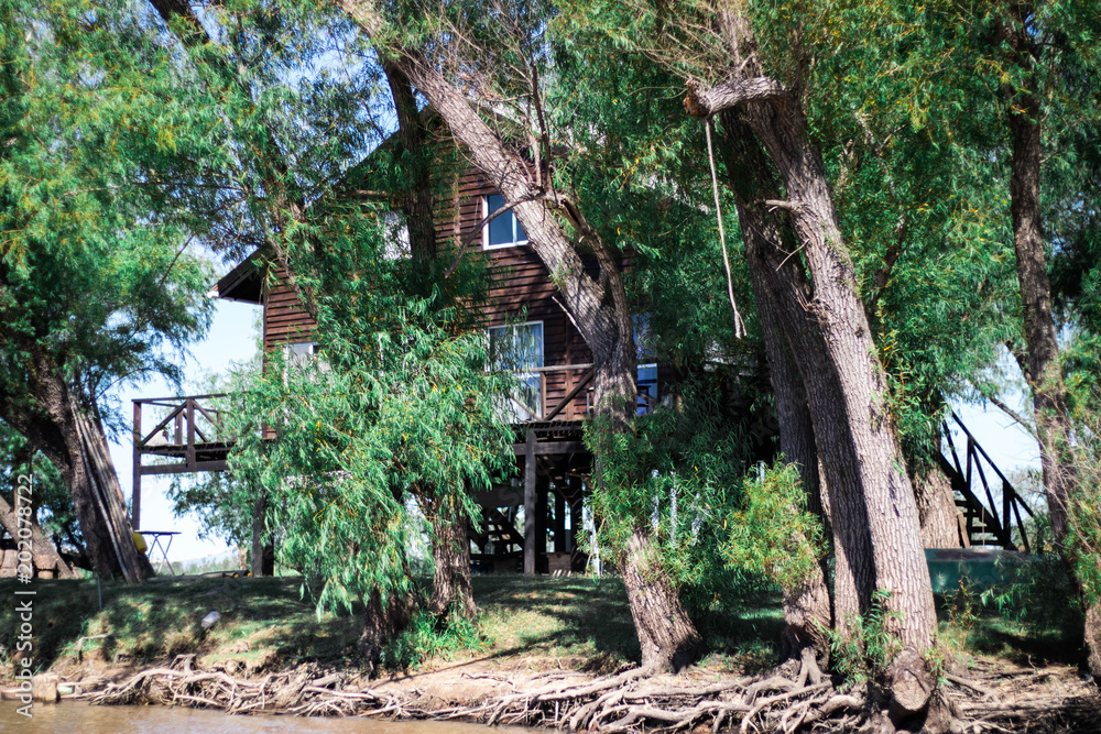 cabaña en el bosque