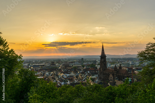 Germany  City Freiburg im Breisgau aerial view through green trees in warm sunset light
