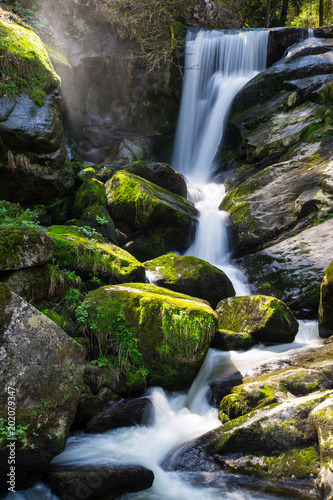 Fototapeta Naklejka Na Ścianę i Meble -  Germany, German waterfalls in triberg with moss covered stones and mystic atmosphere