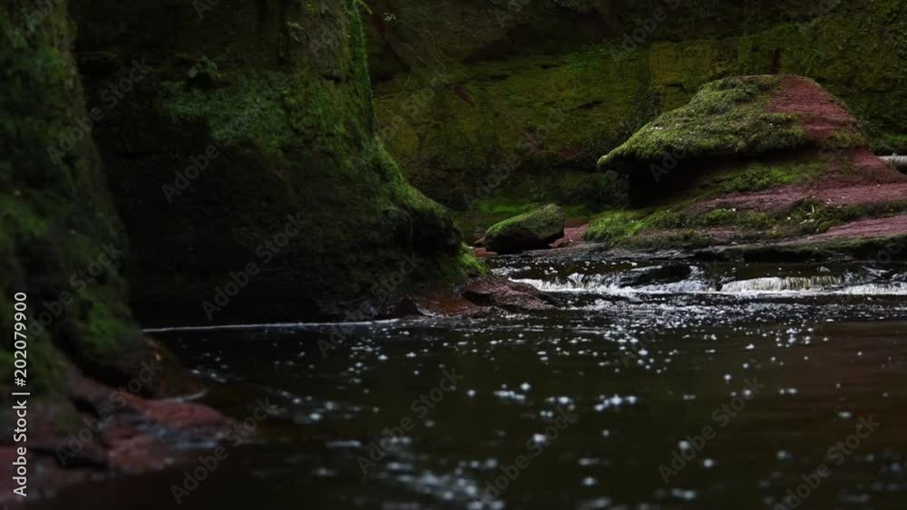 slow moving stream running through the devils pulpit gorge in scotland slow moving stream running through the devils pulpit gorge in scotland