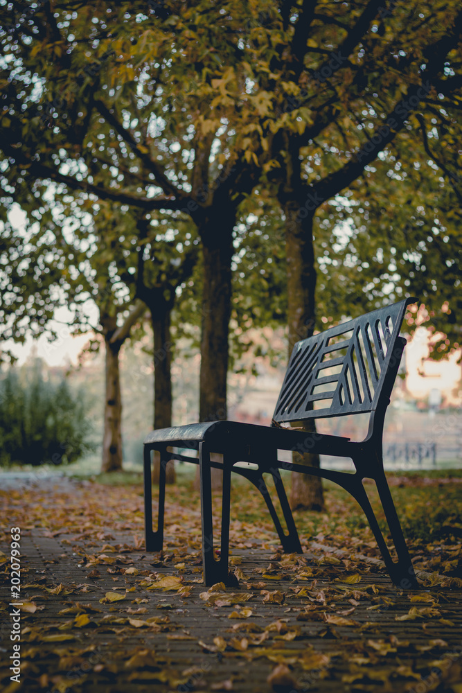 Metal bench in autumn park