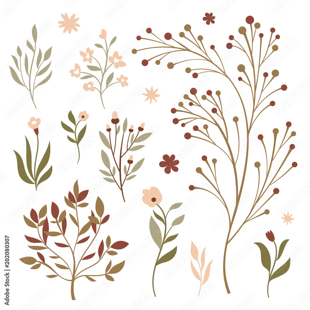 Floral vector set Floral vector set