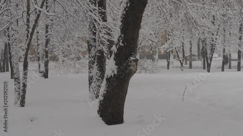 snowfall, snow clearance, christmas weather white year photo