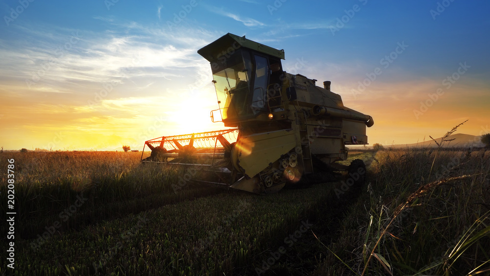 Combine harvester working in a field at sunset