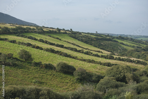 typical Irish landscape