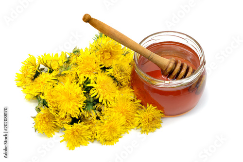 homemade Dandelion honey with honey glass and flower heads of danelion flower. isolated white background