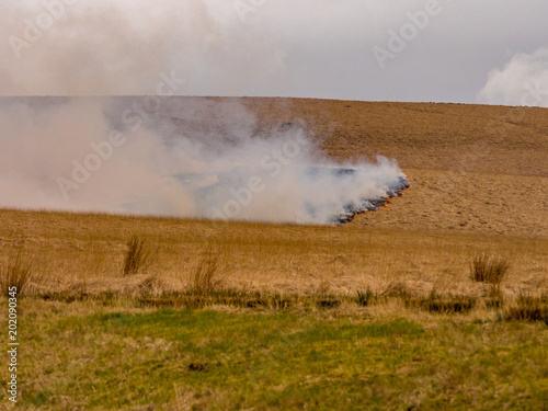 Rapidly advancing moorland grass fire on moors near Belmont, Chorley, Lancashire, UK