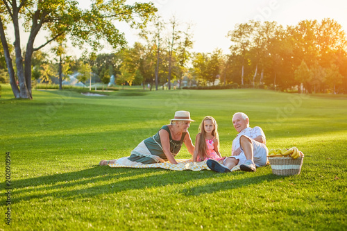 Fototapeta Naklejka Na Ścianę i Meble -  Girl with grandparents having picnic. People relaxing in summer park.