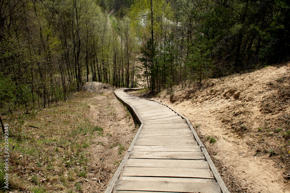 An old wooden staircase with a big mountain in the forest. Photo from the top An old wooden staircase with a big mountain in the forest. Photo from the top