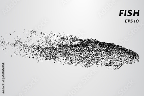 Fish from of particles. Trout swims in the water, leaving a trail of dots