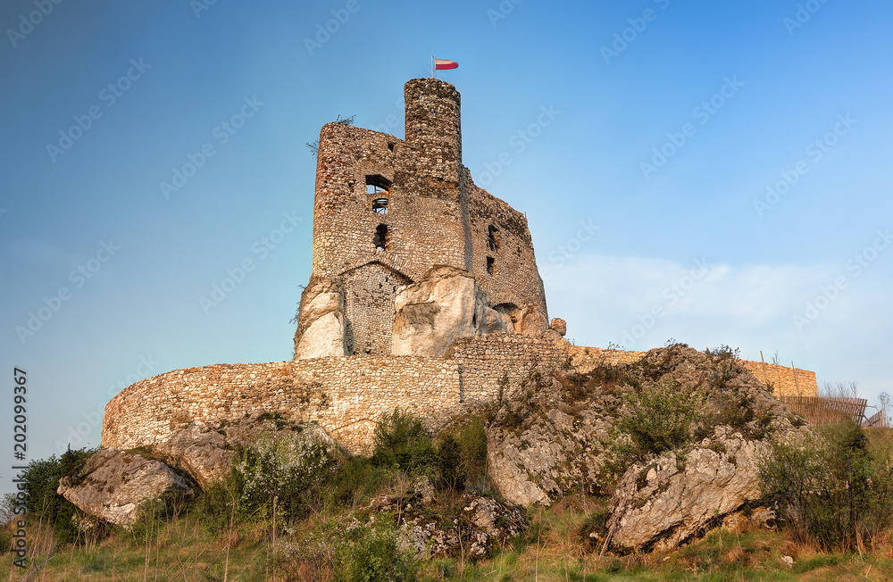 Ruins of Mirow castle. Czestochowa region, Poland.