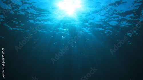 Underwater blue ocean background © Richard Carey