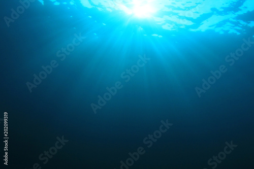 Underwater blue ocean background © Richard Carey