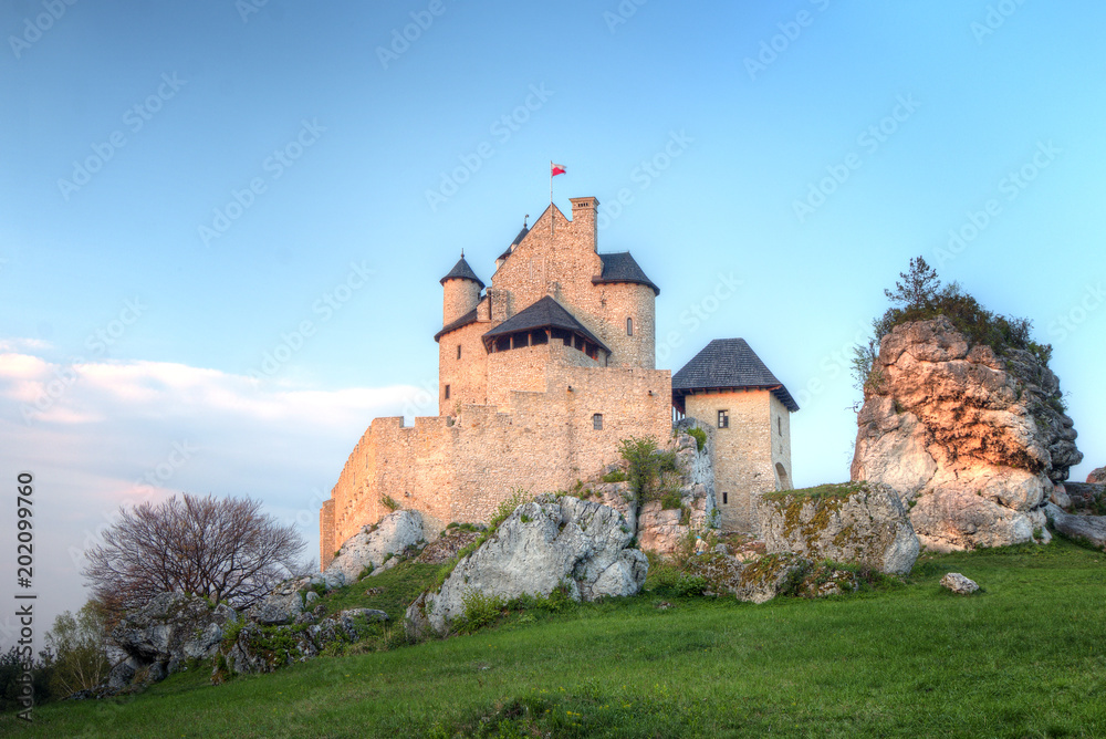 View of the beautiful castle in Bobolice. Czestochowa region, Poland.