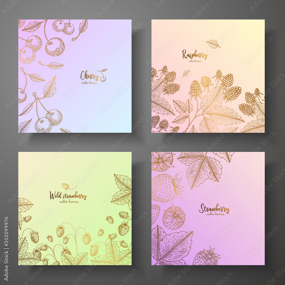 Collection of square gold cards with berries. Vector colorful illustration. Can be used for wrapping paper, farmers market, shop, menu, cafe, restaurant, recipes, packaging design.