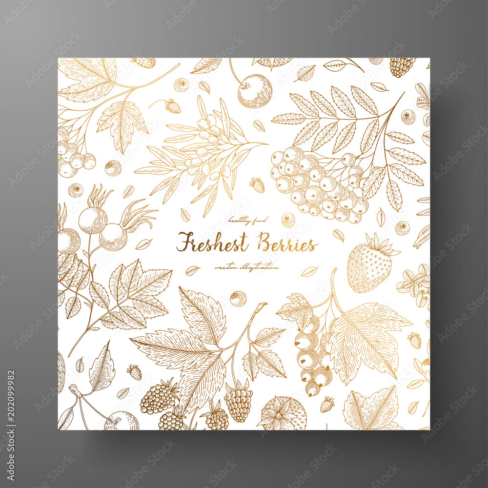 © Mirror Flow - Square golden card with berries. Eco organic food. Vintage engraving. Design templates for menu, promotion, advertising, greeting cards, wrapping paper, cosmetics packaging, labels, flyer.