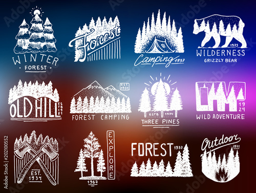 camping badges, mountains coniferous forest and wooden logo. wild nature. landscapes with pine trees and hills. emblem tent tourist, travel for labels. engraved hand drawn in old vintage sketch