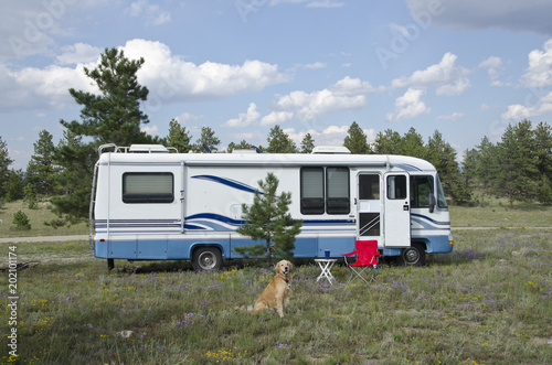 Golden Retriever Camping with Motorhome photo