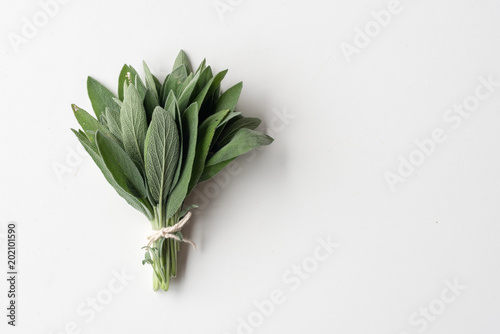 Close up of small bunch of sage tied with string on white background with copy space