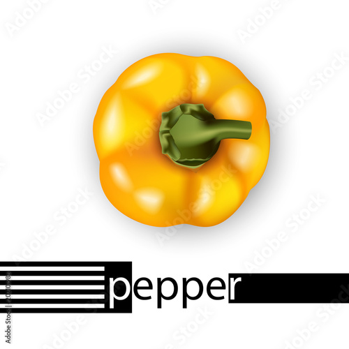 3d realistic yellow bell pepper top view.