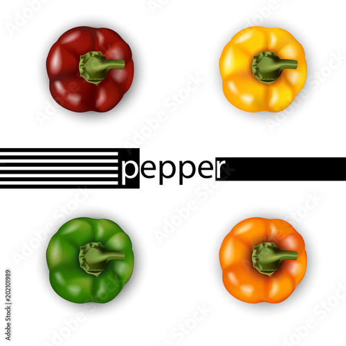 3d realistic bell pepper set top view. Red, yellow, green, orange.