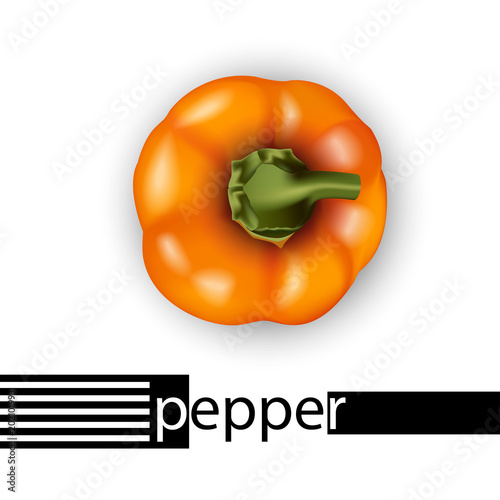 3d realistic orange bell pepper top view.