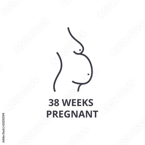 38 weeks pregnant thin line icon, sign, symbol, illustation, linear concept vector 