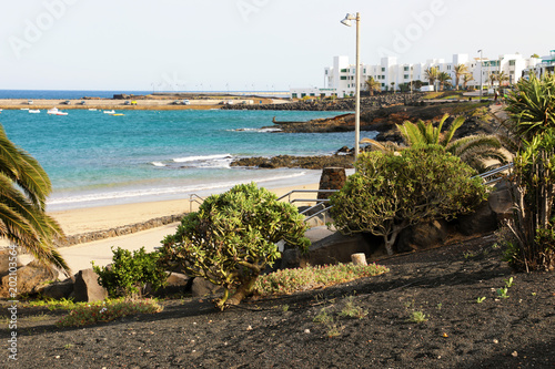 Playa de las Cucharas beach with vegetation in black volcanic ground, Costa Teguise, Lanzarote