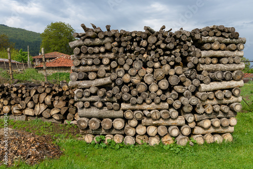 Arranged pile of tree trunks cut into logs in overcast day, lumber cut for fire piled up on green grass
