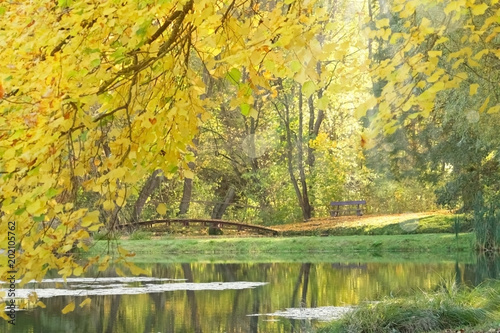 Goldenes Herbstlaub in einem Park mit einer Parkbank und Brücke an einem Teich an einem sonnigen Herbsttag