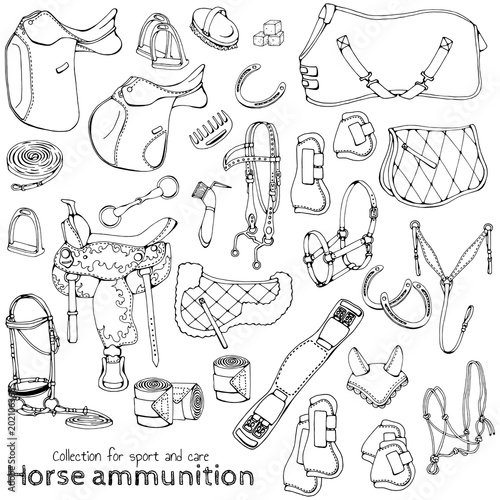 Photo Group of vector illustrations on the theme horse ammunition; set of isolated objects for equestrian sport and care
