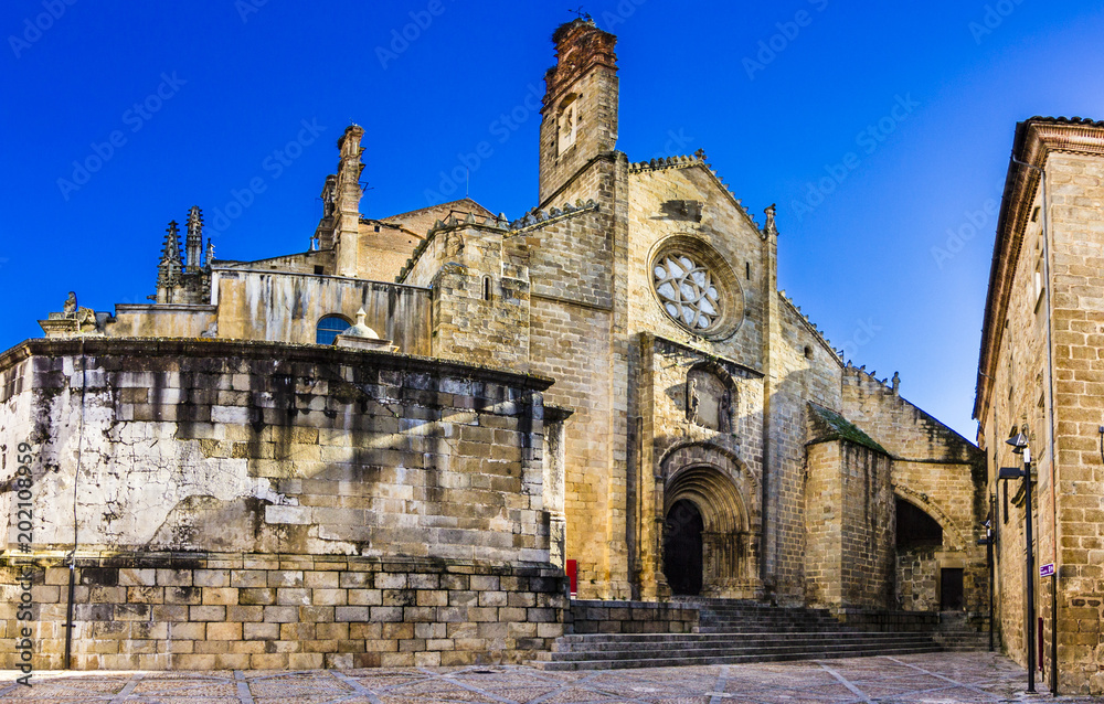 Plasencia old and new Cathedral, a representation of Gothic and Roman styles