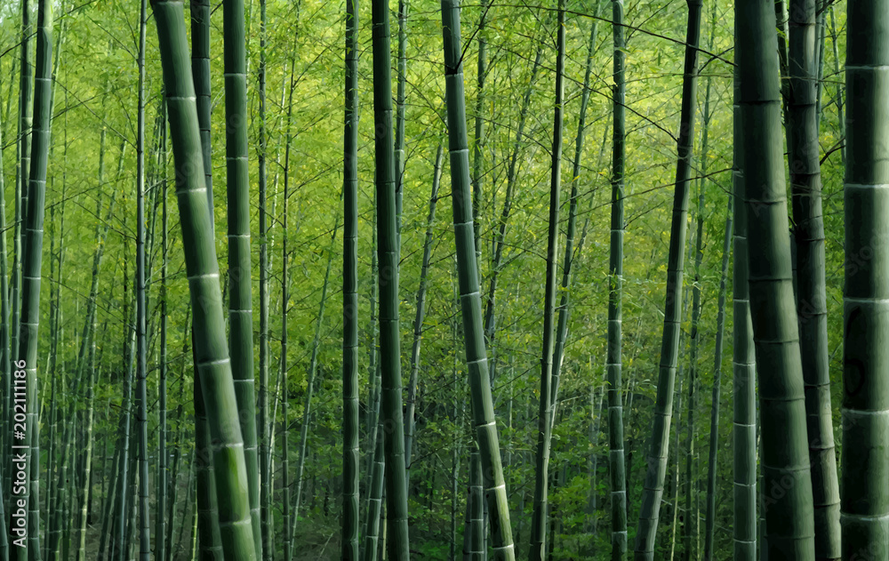 Green bamboo forest textured wallpaper Green bamboo forest textured wallpaper