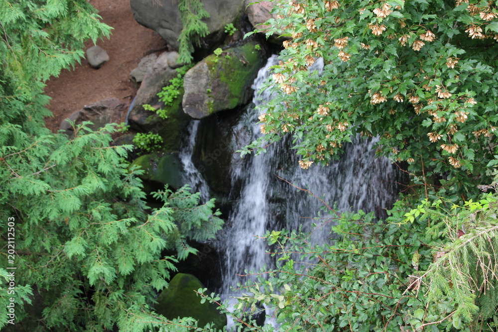 Fototapeta premium Little Waterfall