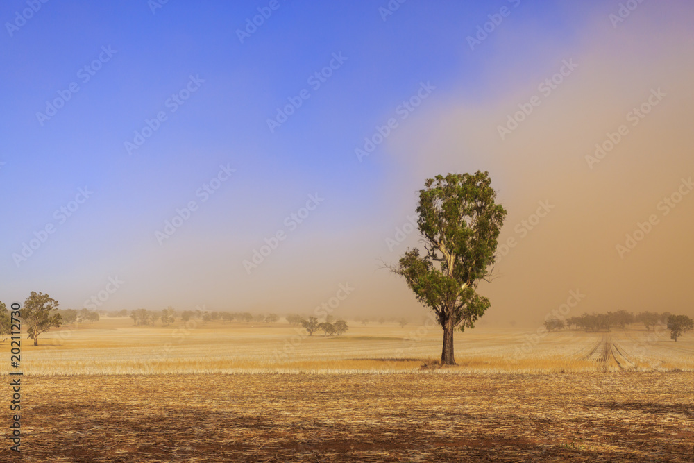New South Wales – Dust Storm near Temora