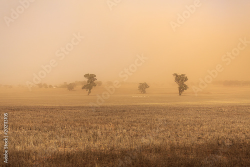 New South Wales – Dust Storm near Temora
