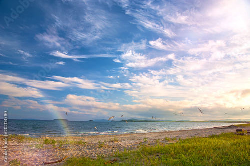 a beach on the sea, sand and waves, seagulls fly over the water.