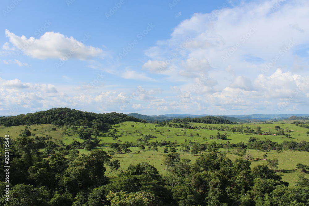 green fields with trees, blue sky and rocks