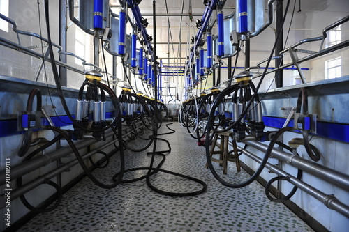 Milking equipment photo