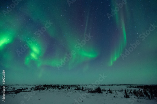 Aurora Borealis Over Tundra