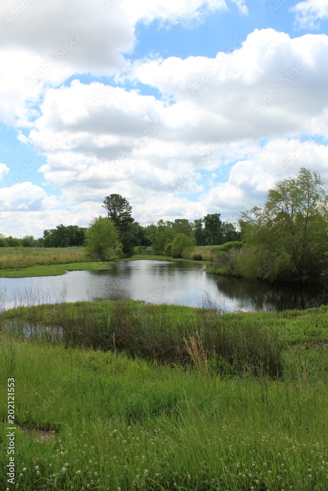 Obraz premium Beautiful undeveloped industrial park awaiting a buyer