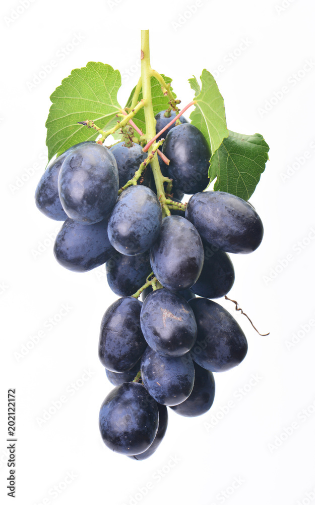 Fototapeta premium Grape fruit