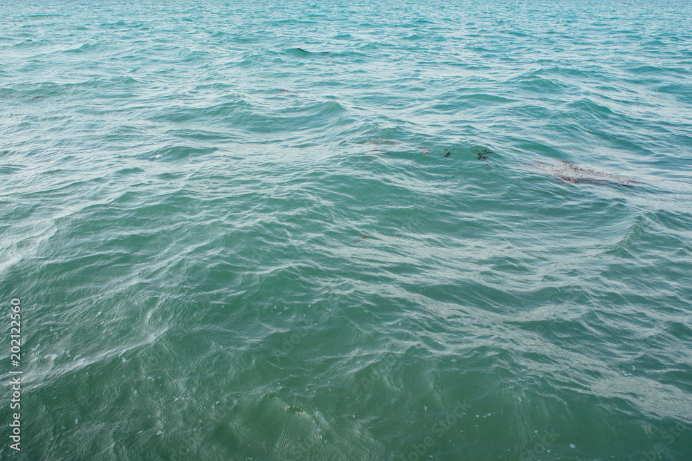 Blue sea surface abstract background pattern Blue sea surface abstract background pattern