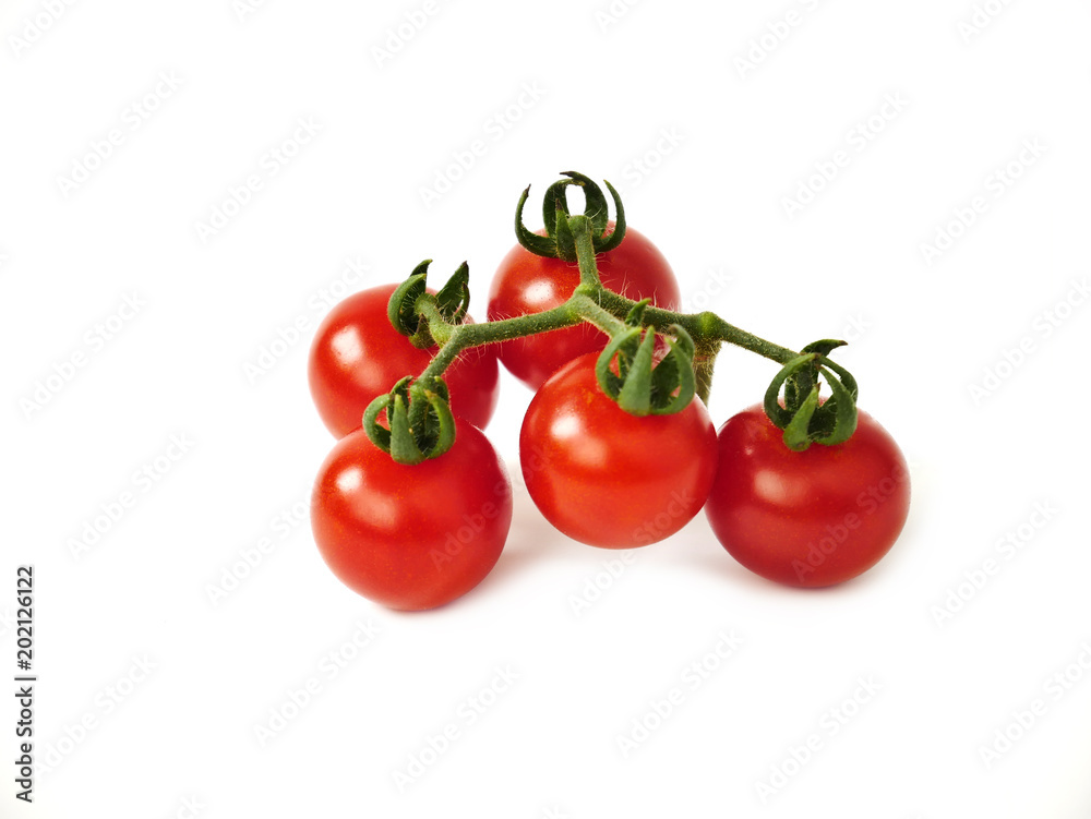 Tomato. Tomato branch. Tomatoes isolated on white. Tomato. Tomato branch. Tomatoes isolated on white.