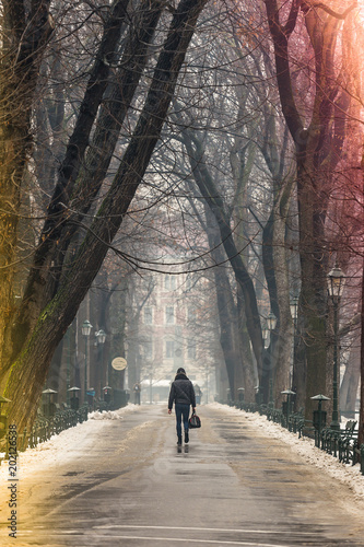 Man walking along path surrounded by trees, in winter, carrying a bag, colored light leak coming in from the side