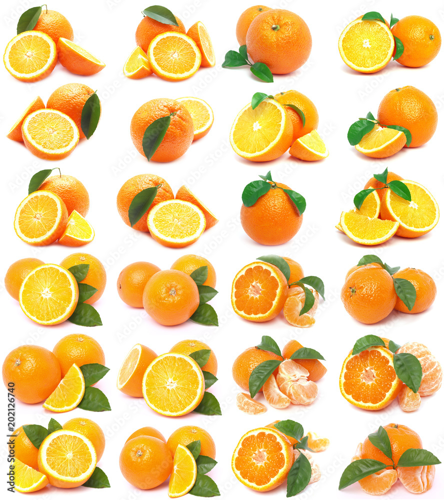 Orange fruit Orange fruit